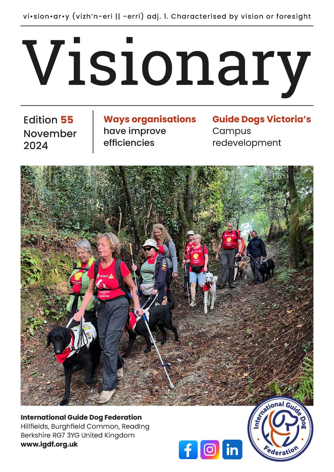 Cover page of November 2024 Visionary featuring multiple guide dog owners hiking through Camino Ingles with guide dogs