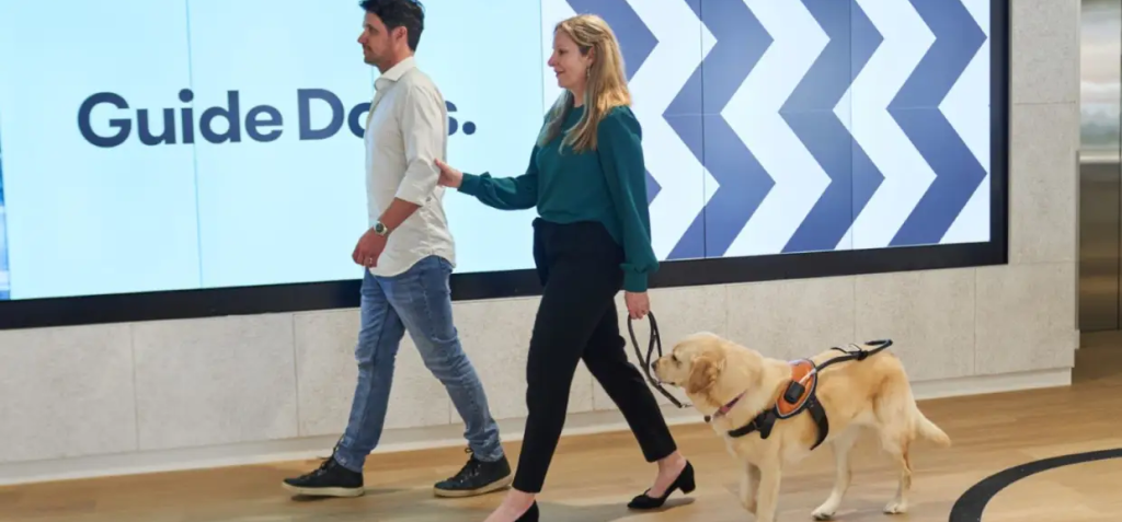GDMI signted guiding a guide dog owner through an office with her dog
